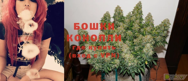 МДПВ Верхний Тагил